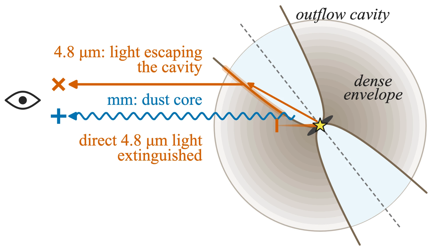 side-view sketch: 4.8 um light escapes along the outflow cavity, the mm traces the dust core